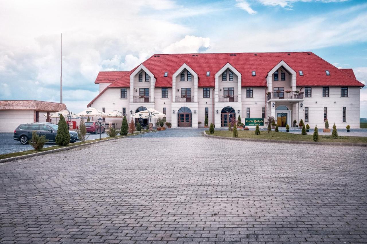 The Frontier Hotel Siret المظهر الخارجي الصورة